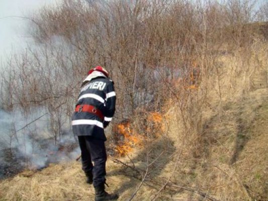 INCENDIU în cartierul Poarta 6: arde vegetația uscată!